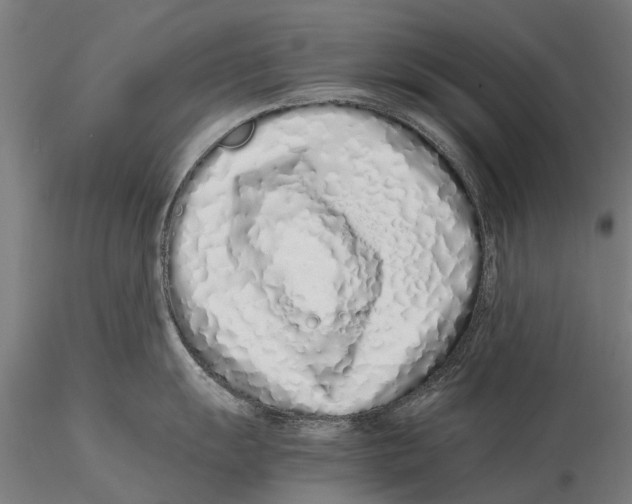 X0000115501055200912041034