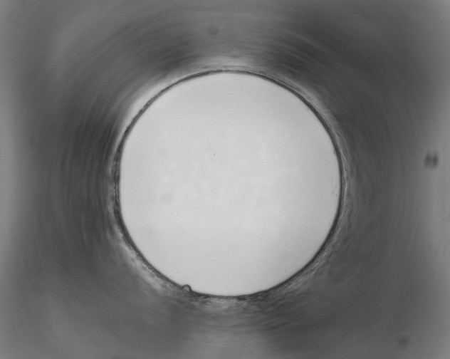 X0000115501056200912041034