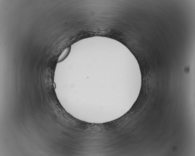 X0000115501058200912041033