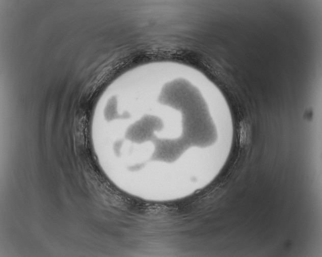 X0000115501059200912041033