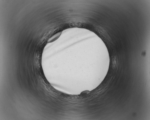 X0000115501060200912041033