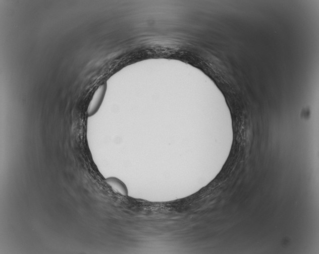 X0000115501061200912041033