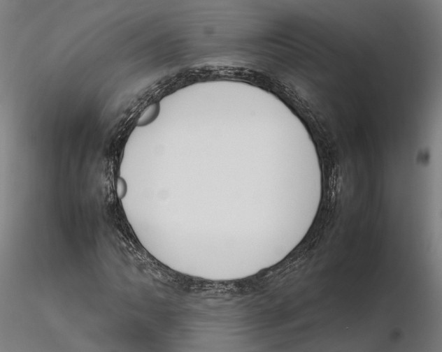 X0000115501062200912041033
