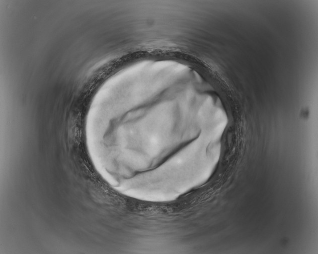X0000115501063200912041033