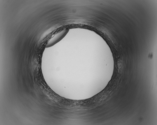 X0000115501064200912041033