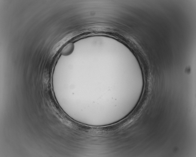 X0000115501065200912041033