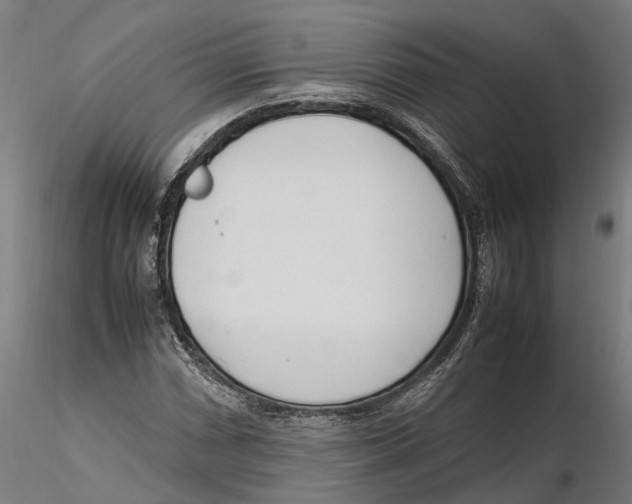 X0000115501066200912041033