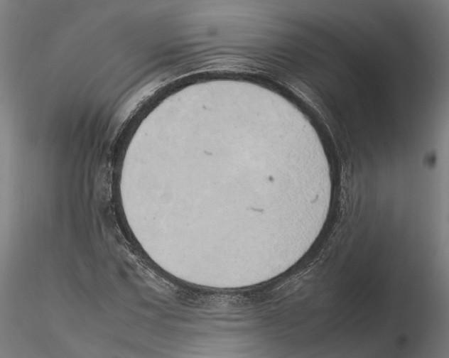 X0000115501067200912041033