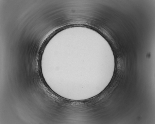 X0000115501068200912041033