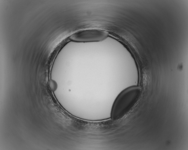 X0000115501069200912041033