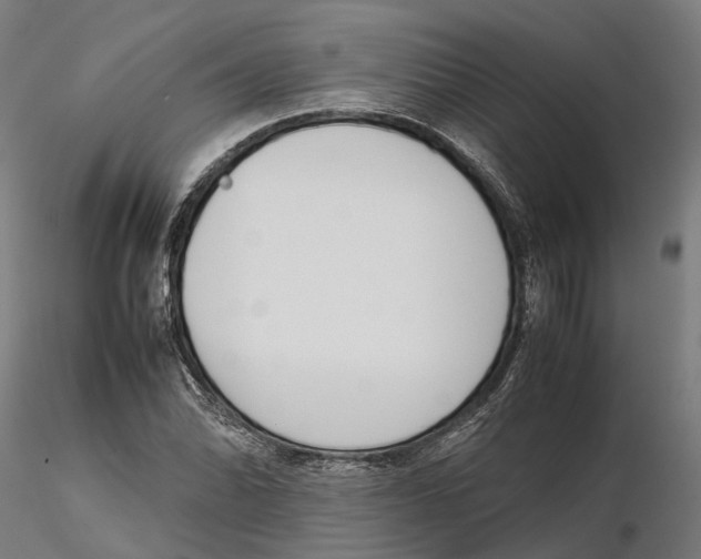 X0000115501070200912041033