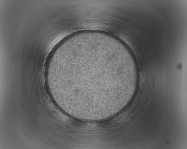 X0000115501071200912041033