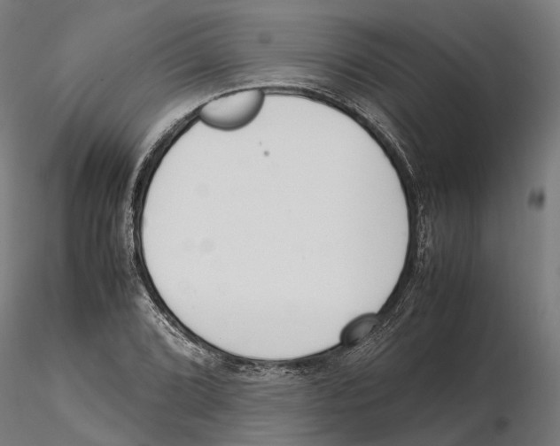 X0000115501072200912041033