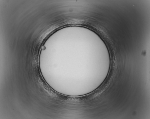X0000115501073200912041033