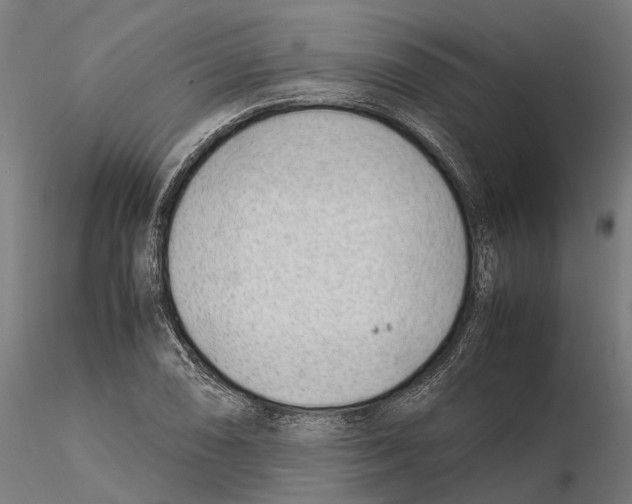 X0000115501074200912041033