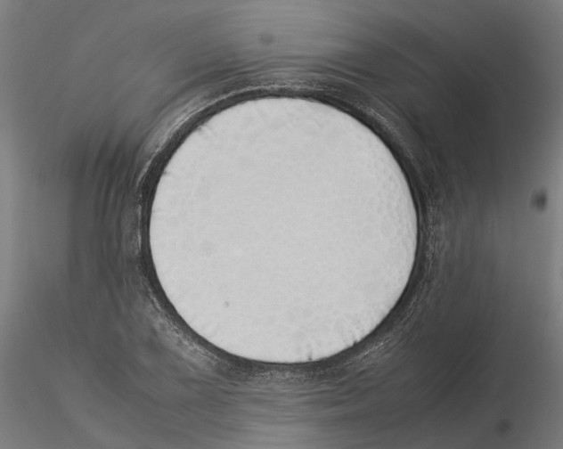 X0000115501075200912041033