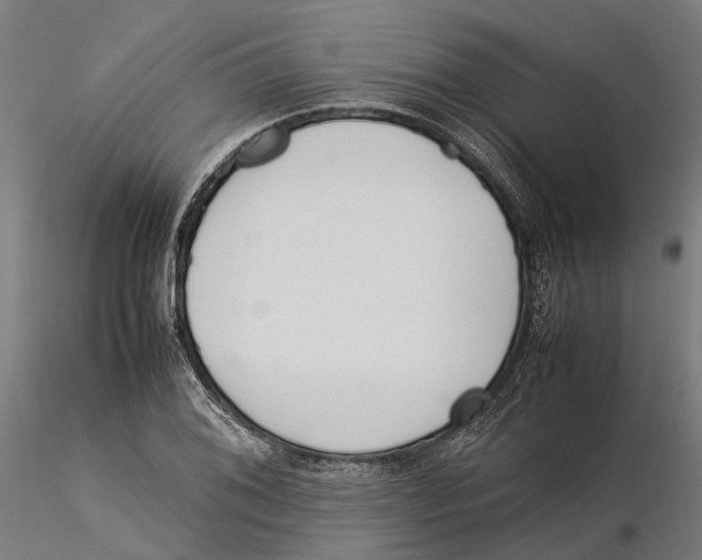 X0000115501076200912041033
