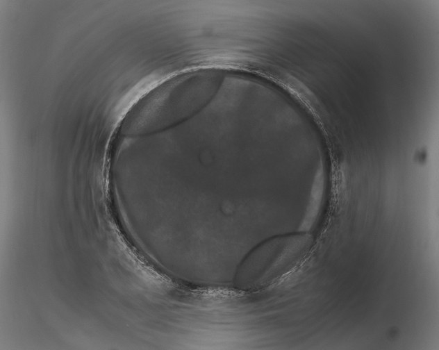 X0000115501077200912041033