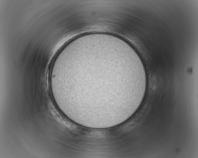 X0000115501078200912041033