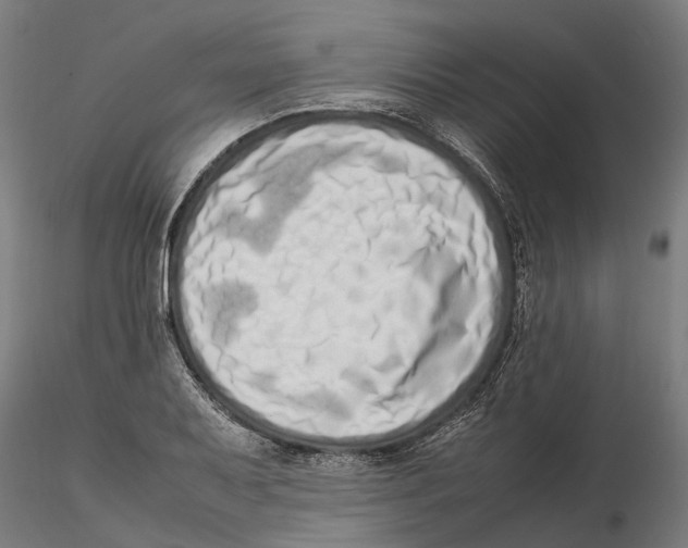 X0000115501079200912041033