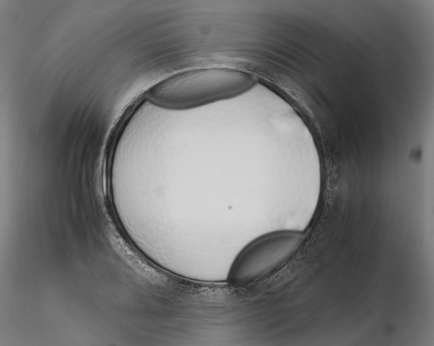 X0000115501080200912041033