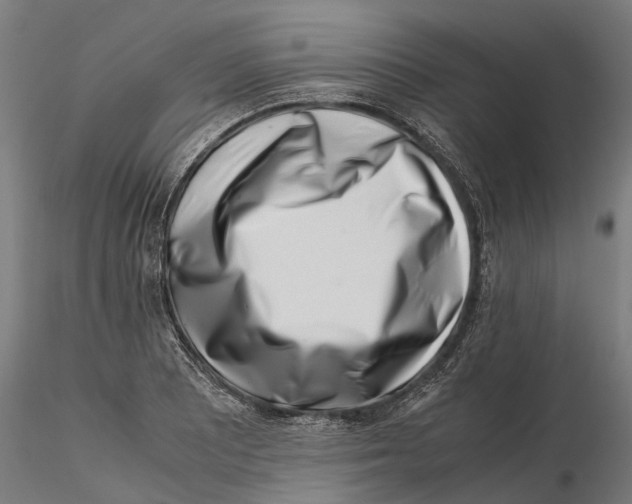 X0000115501081200912041033