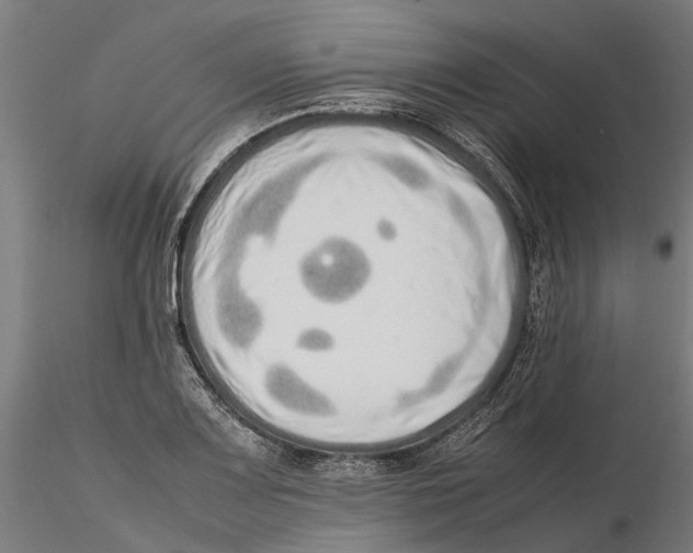 X0000115501083200912041033