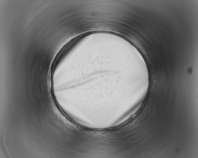 X0000115501084200912041033