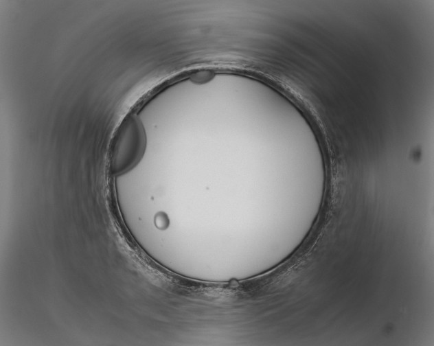 X0000115501085200912041033