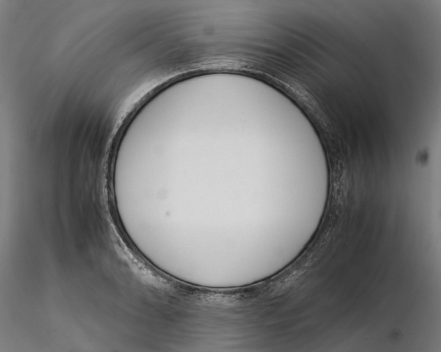 X0000115501086200912041033
