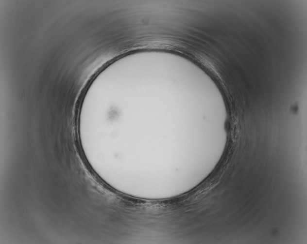 X0000115501087200912041033