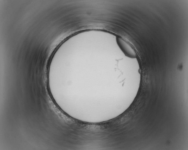 X0000115501088200912041033