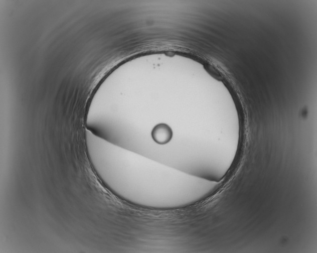 X0000115501089200912041033
