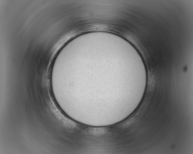 X0000115501090200912041033