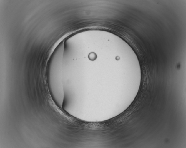 X0000115501092200912041033