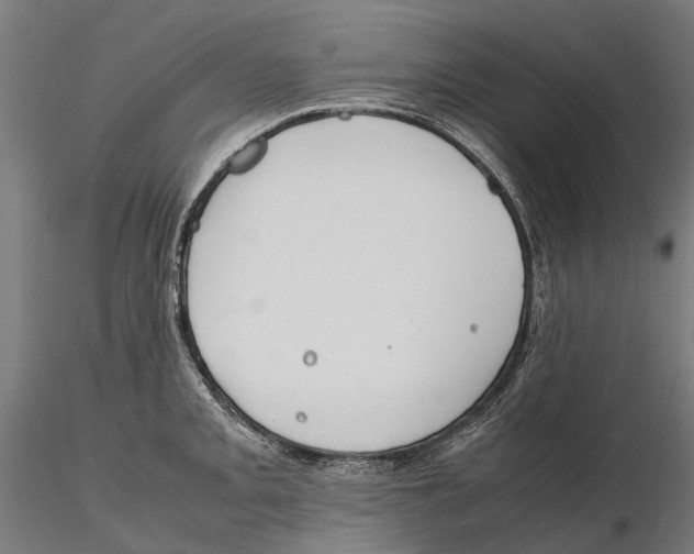 X0000115501093200912041033