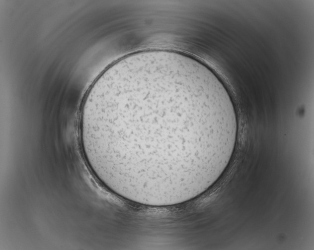 X0000115501094200912041032