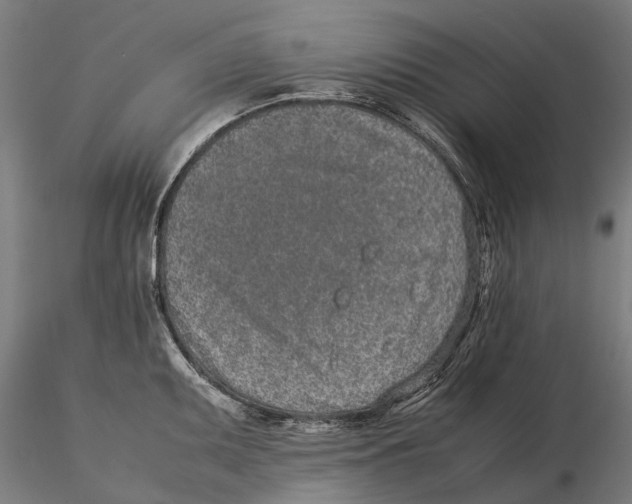 X0000115501095200912041032