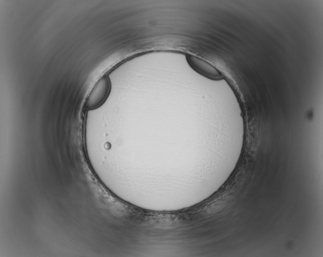 X0000115501096200912041032