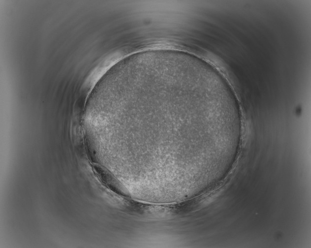 X0000115501097200912041032