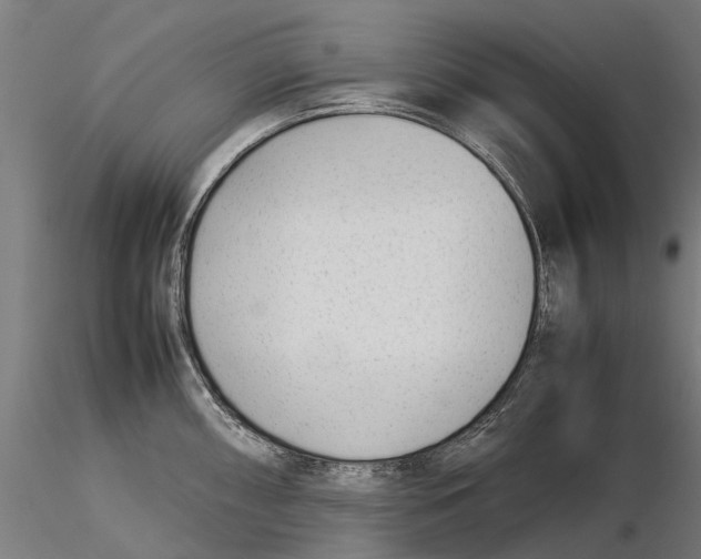 X0000115501098200912041032