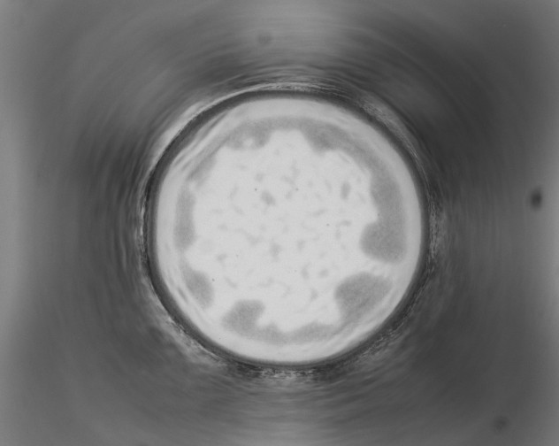 X0000115501099200912041032
