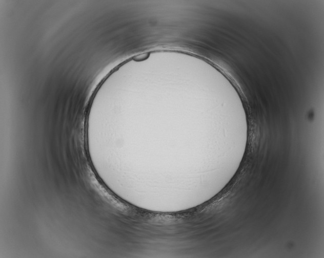X0000115501100200912041032