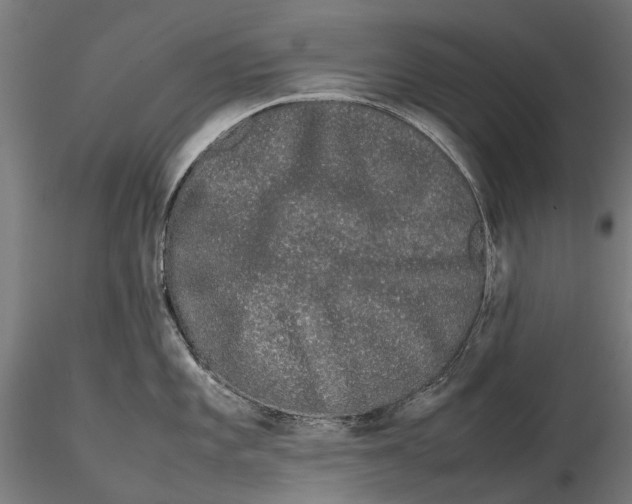 X0000115501101200912041032