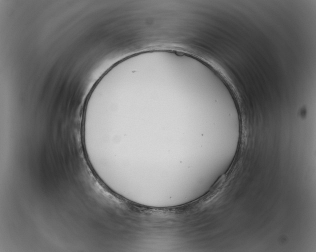 X0000115501102200912041032