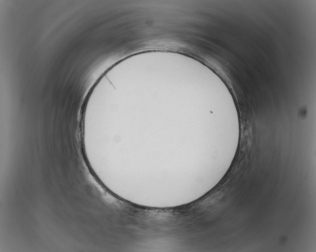 X0000115501103200912041032
