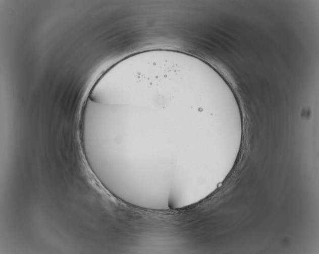 X0000115501104200912041032