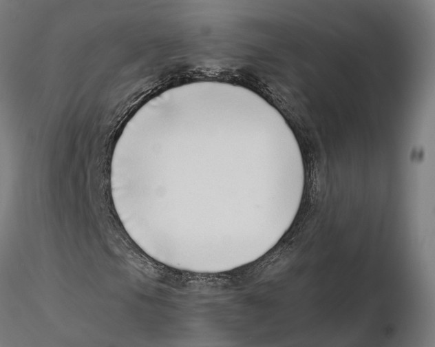 X0000115501105200912041032