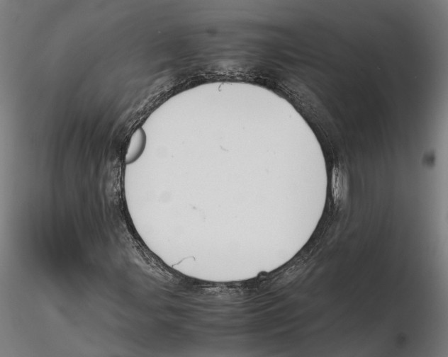 X0000115501107200912041032