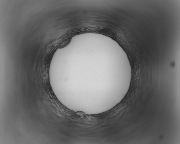 X0000115501109200912041032